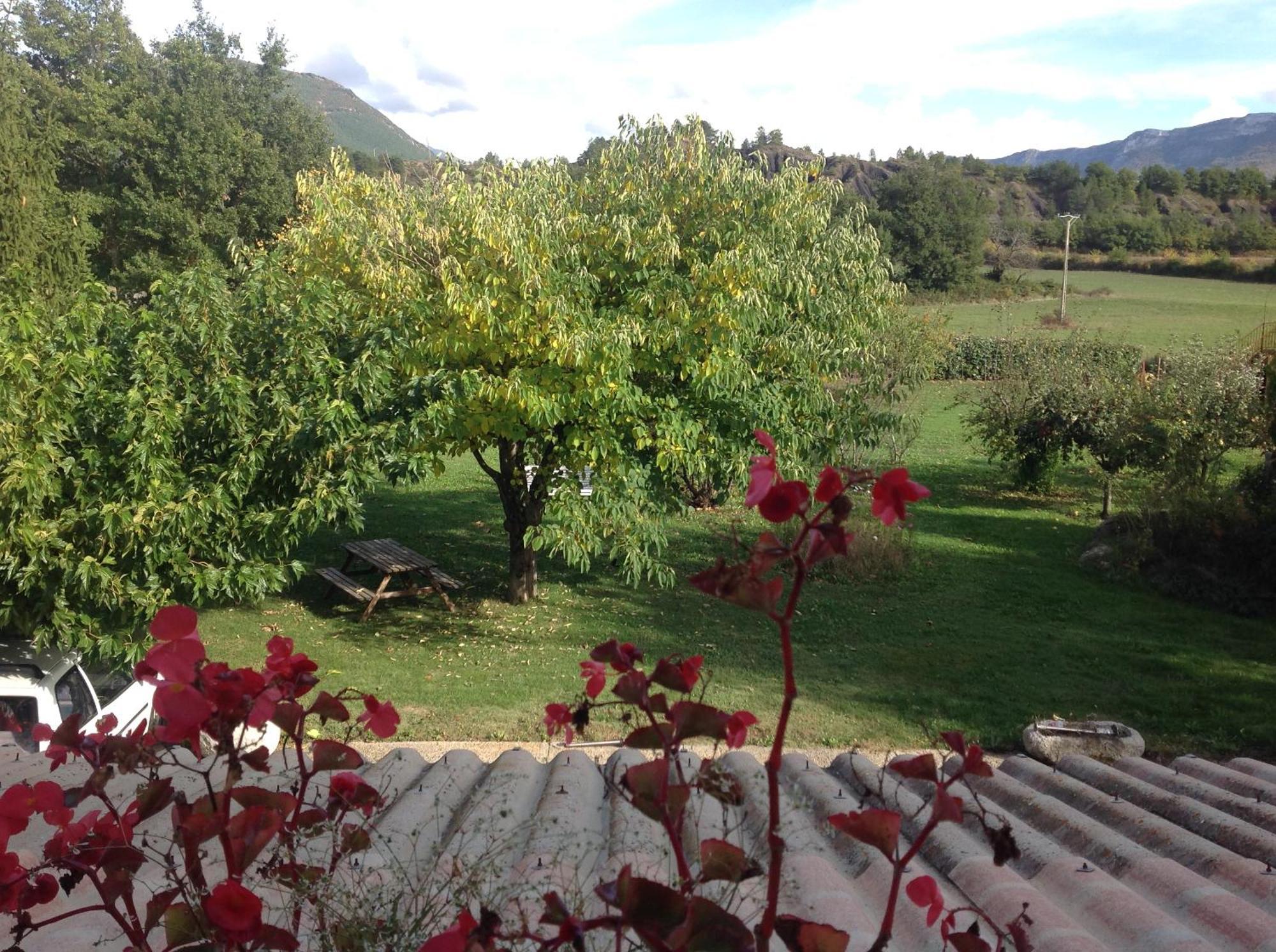 Le Petit Caboulot En Pleine Nature Vaumeilh Buitenkant foto